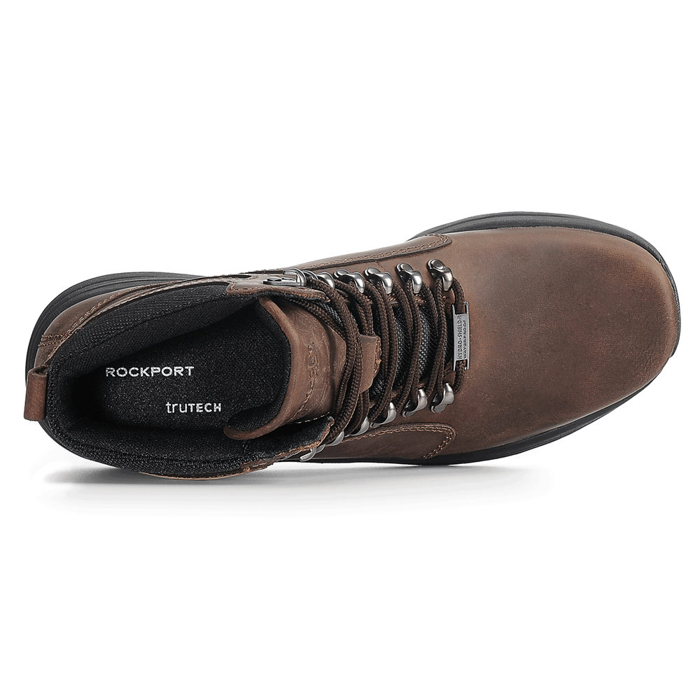 Rockport Støvler Herre Brune - Cold Springs Waterproof Elkhart - AKMF25438